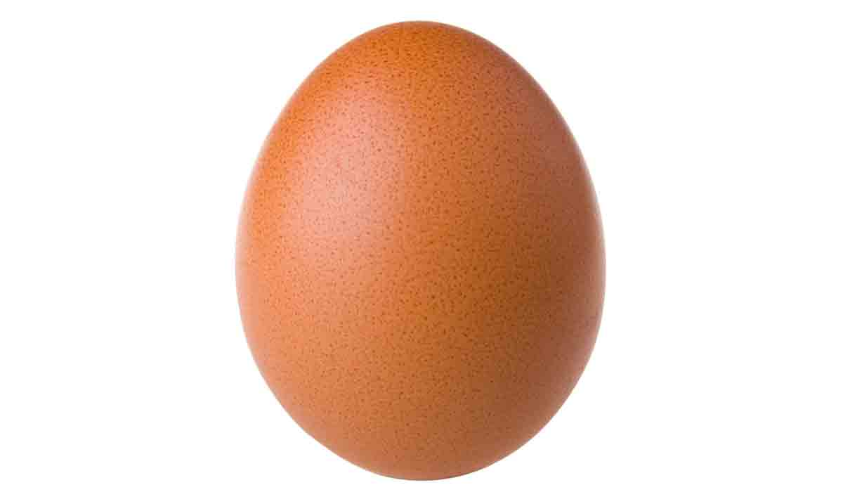 Un huevo de gallina se convirtió en la foto más popular de Instagram