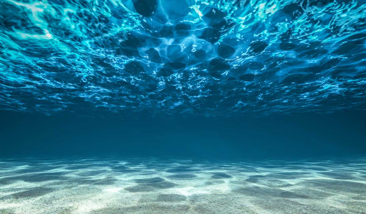 Los océanos se están volviendo más azules, y esto no es bueno