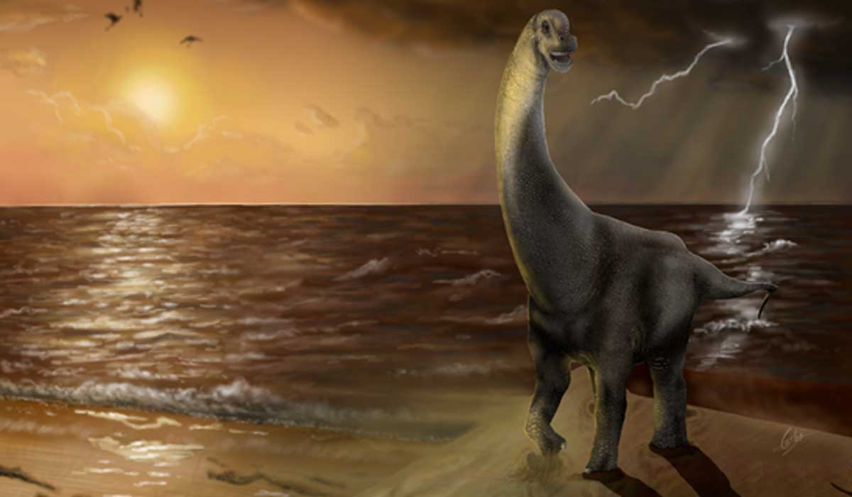 Conoce a ‘Oceanotitán’, un nuevo dinosaurio