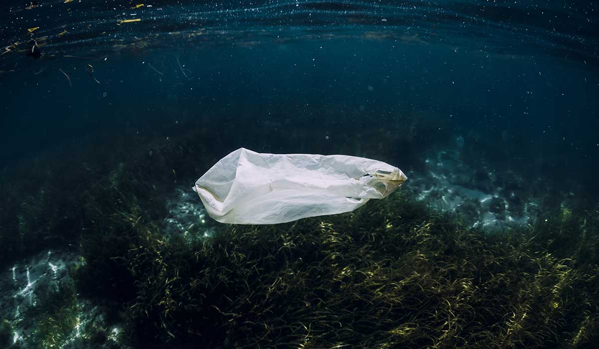 El plástico ya llegó a la parte más profunda del océano