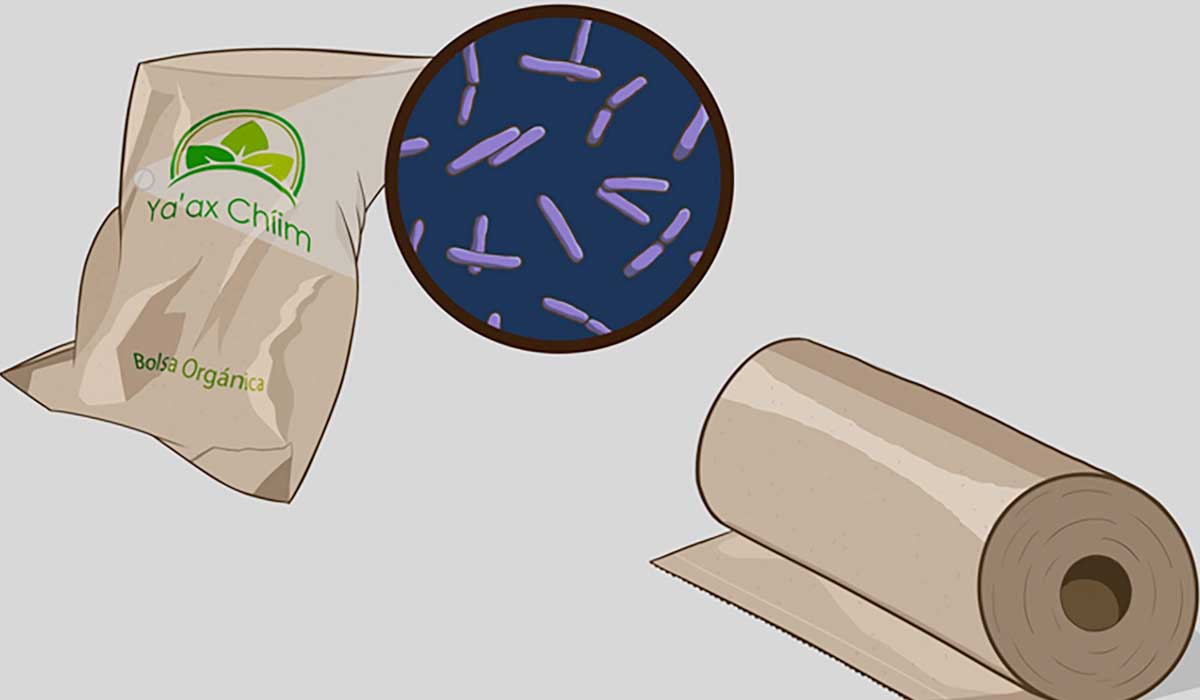 Estudiantes del Tec crean bolsa que acelera el proceso de desintegración de desechos