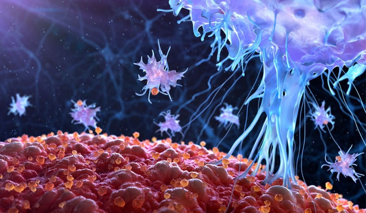 Investigadores crean CF33: el virus que promete acabar con todo tipo de cáncer