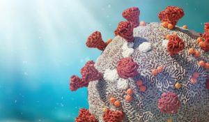 6 datos curiosos sobre virus biológicos