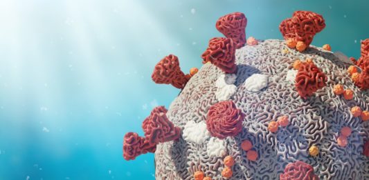 6 datos curiosos sobre virus biológicos