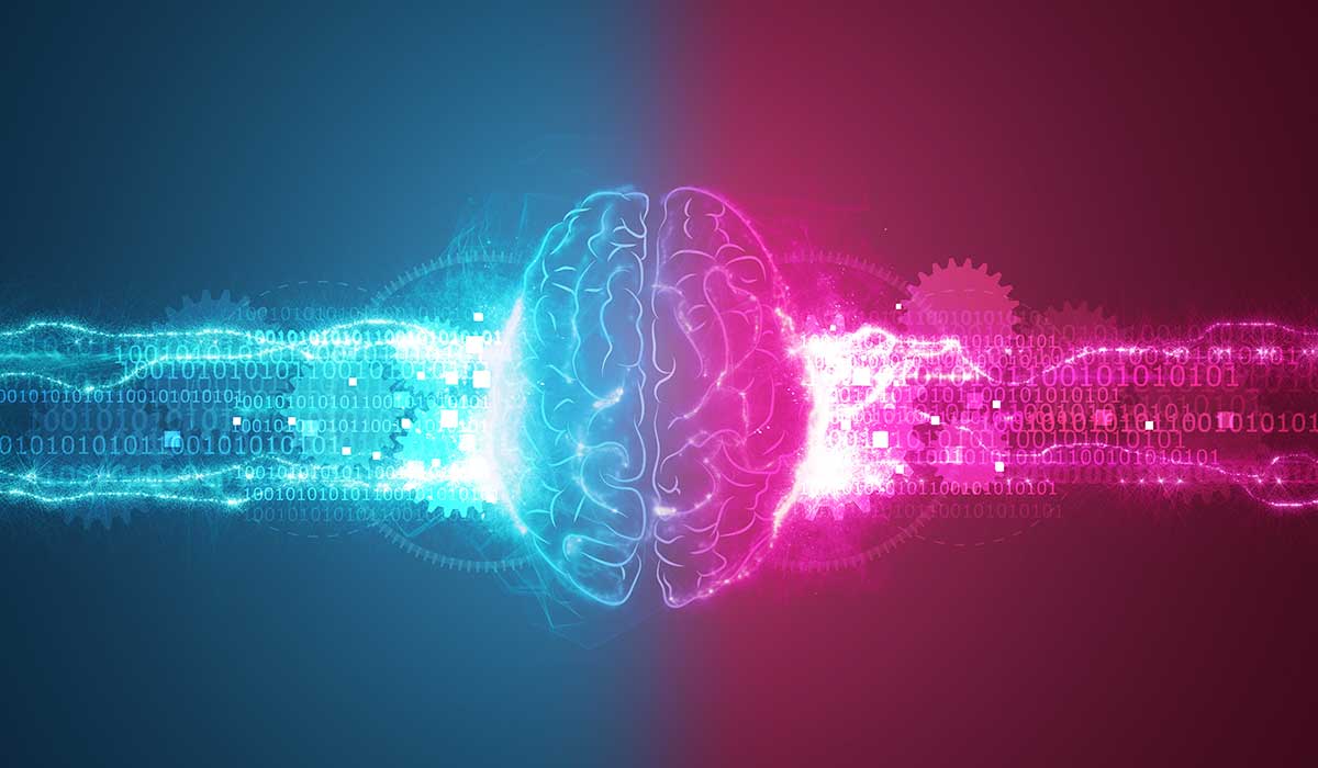 Cómo mejorar tu memoria y conexiones neuronales