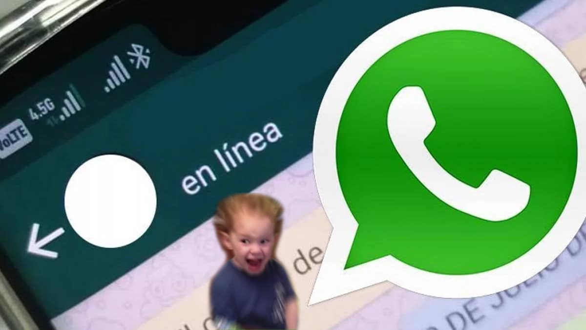 WhatsApp falló en mostrar la última conexión de los contactos y las personas “tóxicas” enloquecieron