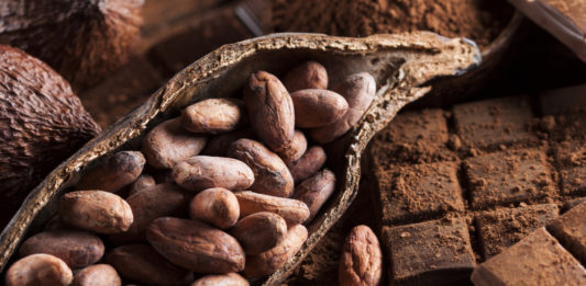 ¿Cuál es la diferencia entre cacao, cocoa y chocolate?