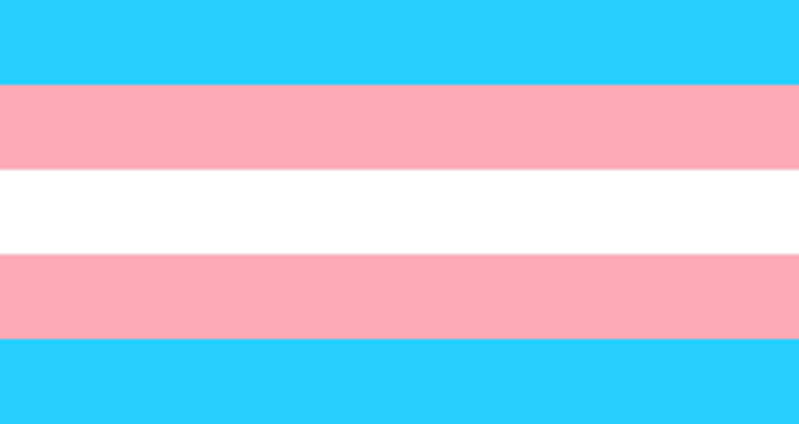 Bandera pride lgbt orgullo trans