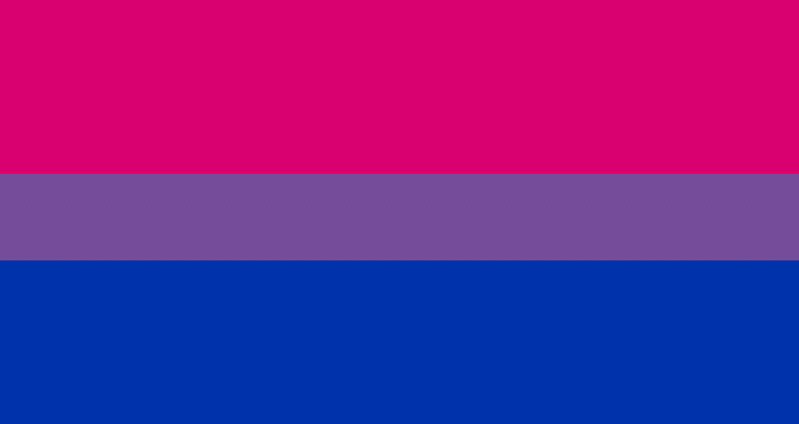 bandera pride lgbt orgullo bisexual