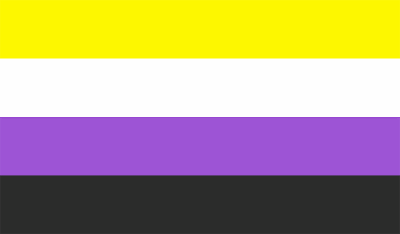 bandera pride lgbt orgullo no binario