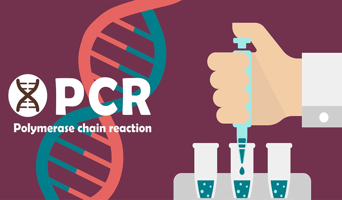UNAM realiza pruebas PCR para detectar Covid-19 a menor precio