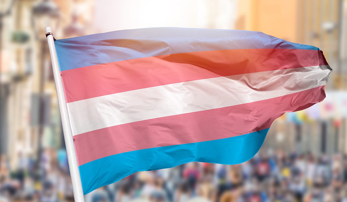 Día Internacional de la Visibilidad Trans: por qué surge y cómo es la bandera trans