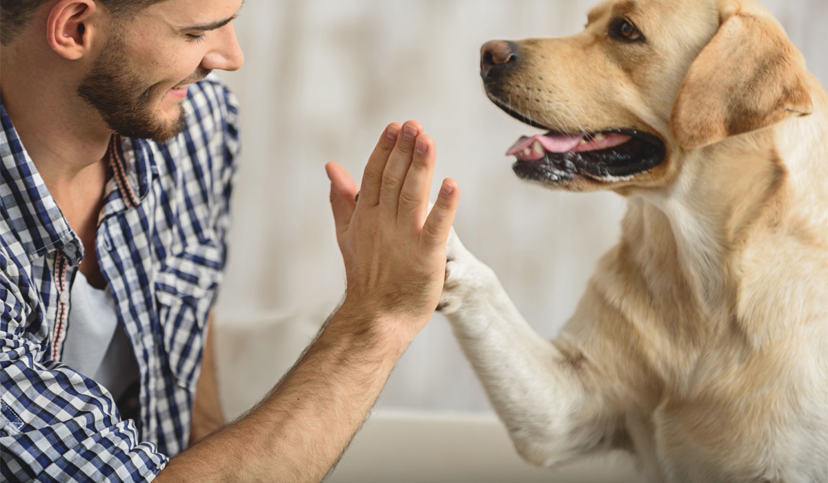 5 cosas que deberías aprender de tu perro
