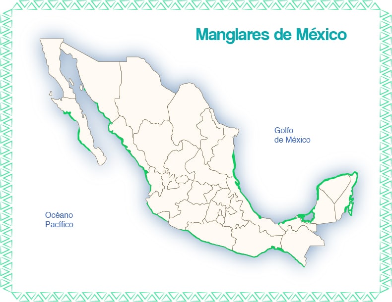 distribución de manglares en México