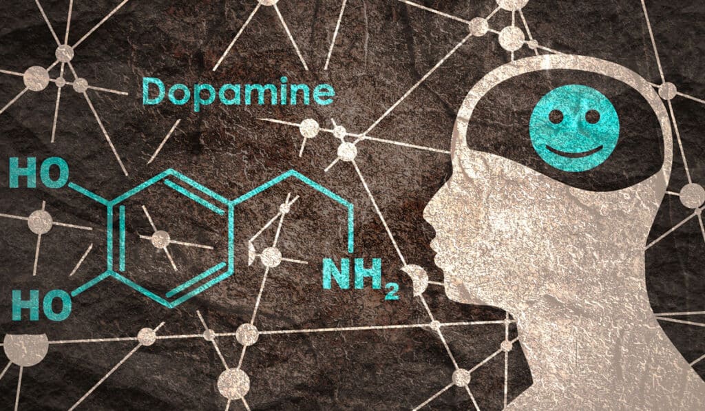 Ayuno de dopamina: el mejor reset para el cerebro