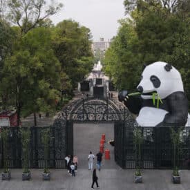 ¡Así será ‘Animalística’ y las expos en Chapultepec!