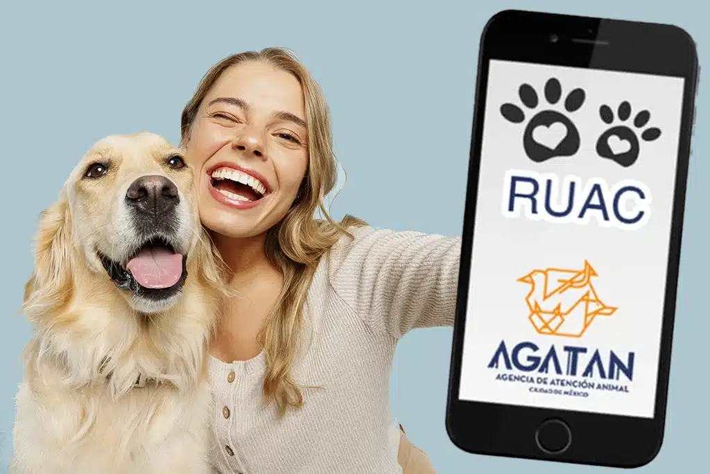 Al registrar a tu mascota en el RUAC obtienes estos beneficios