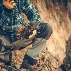 Top de carreras relacionadas con el medio ambiente