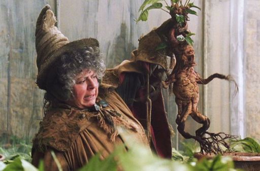 Pomona Sprout