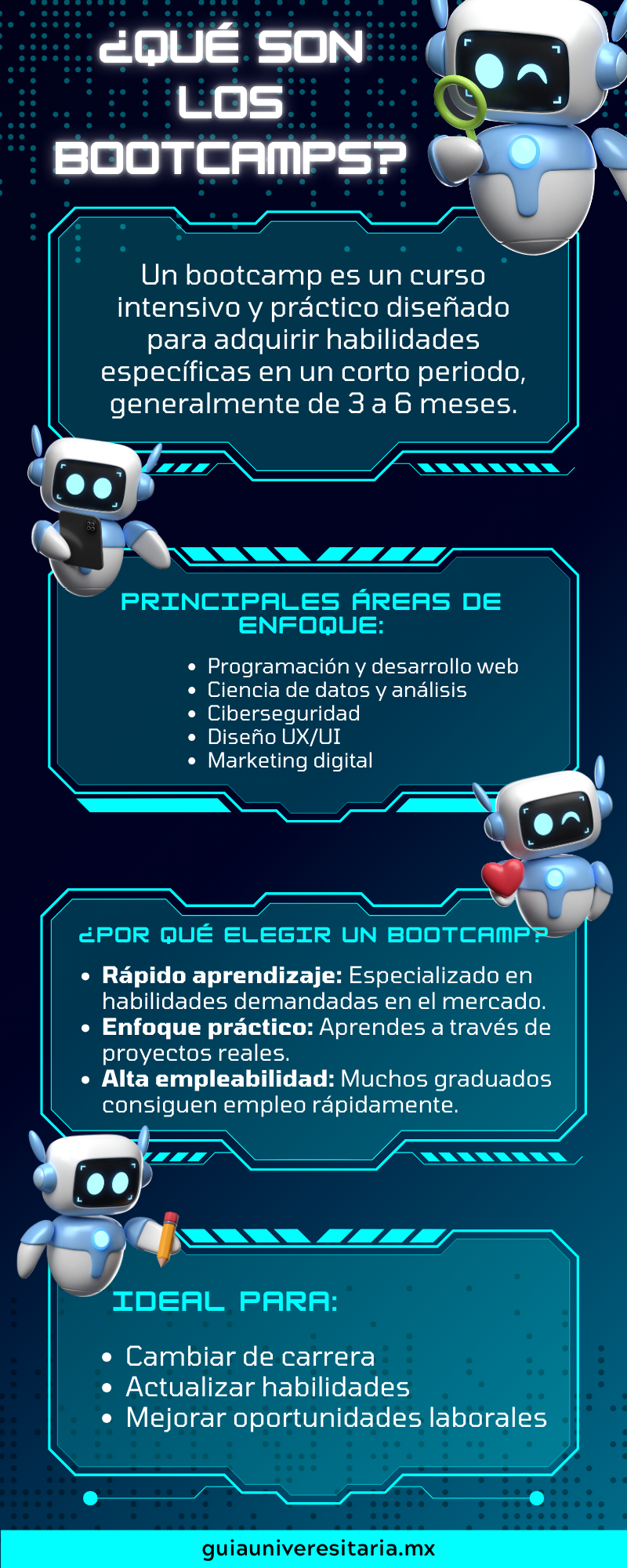 infografia sobre que es un bootcamp que enseñan y como saber si es para ti