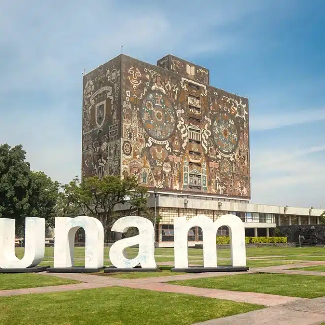 Cine con sello UNAM: 5 películas mexicanas dirigidas por talentos de la ENAC