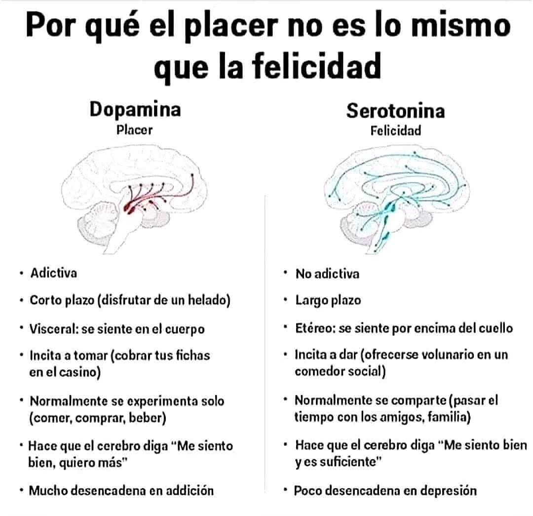 Infografía sobre las diferencias entre la felicidad y el placer a nivel químico cerebral