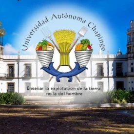 ¿Qué carreras puedes estudiar en la Universidad Chapingo?
