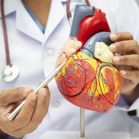Corazón artificial en México: La revolución médica hecha por talento nacional