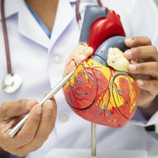 Corazón artificial en México: La revolución médica hecha por talento nacional