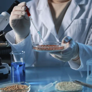 Ingeniería Bioquímica: Universidades, campo laboral y oportunidades