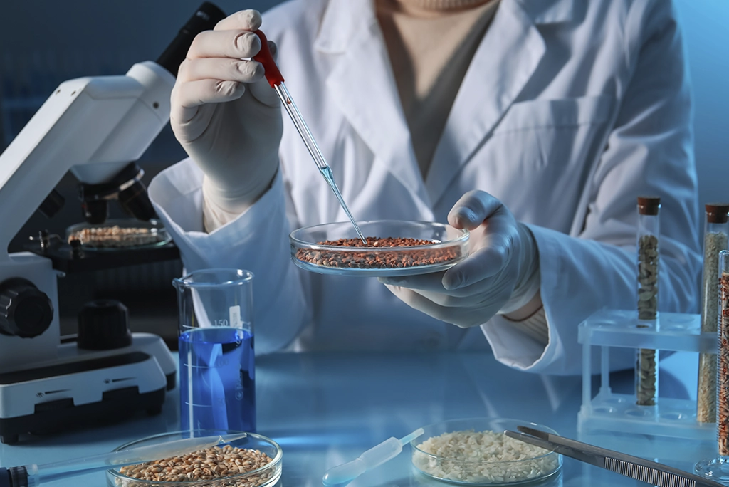 Ingeniería Bioquímica: Universidades, campo laboral y oportunidades