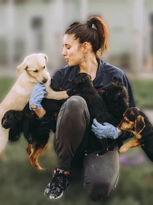 ¿No tienes con quién encargar a tu lomito? Esta universidad cuenta con guardería canina