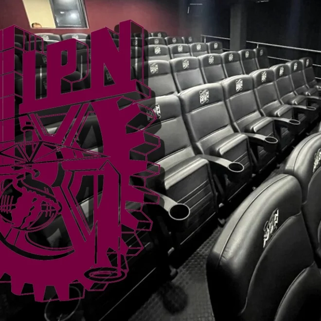 ¿Cómo se dice gato en lenguas indígenas de México? Descúbrelo aquí