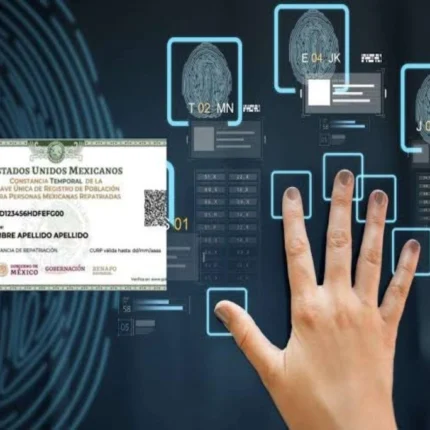 ¿Qué onda con la nueva CURP con datos biométricos? Conoce su función y para qué te servirá