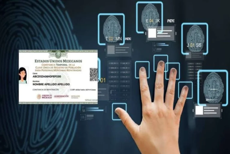 CURP con datos biométricos en formato digital, mostrando huellas dactilares y fotografía como identificación oficial en México