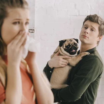 Custodia Compartida para Mascotas: ‘¿Con Quién Se Queda el Perro?’ se hizo canon