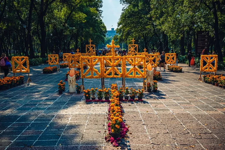 Concurso de ofrendas del Bosque de Chapultepec registro y premios