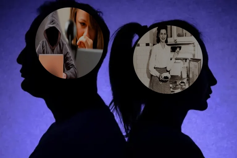 Ilustración conceptual que representa la división digital entre la manósfera y la womanósfera, mostrando dos grupos opuestos en un entorno online