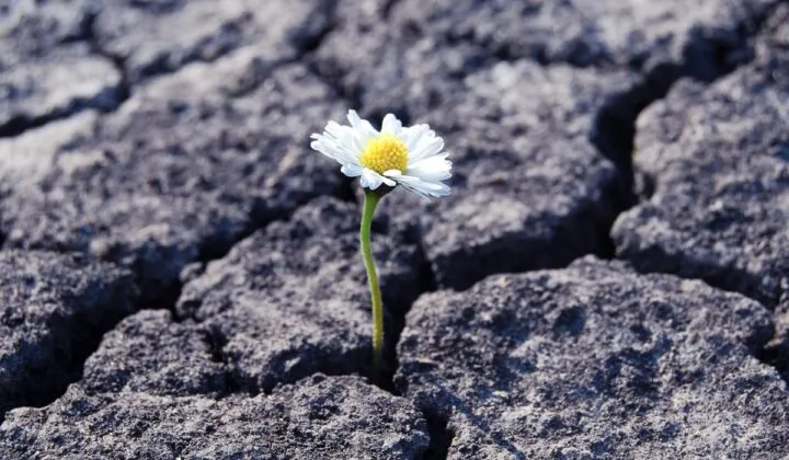 10 característica de las personas resilientes