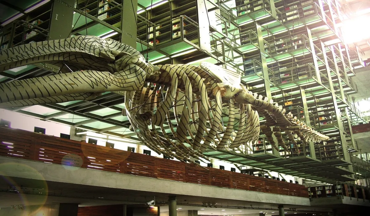 6 bibliotecas en México que debes conocer