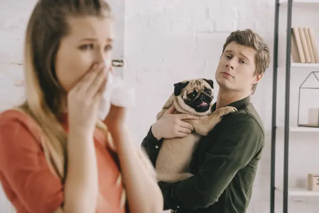 Cómo Funciona la Custodia Compartida para Mascotas en un Divorcio