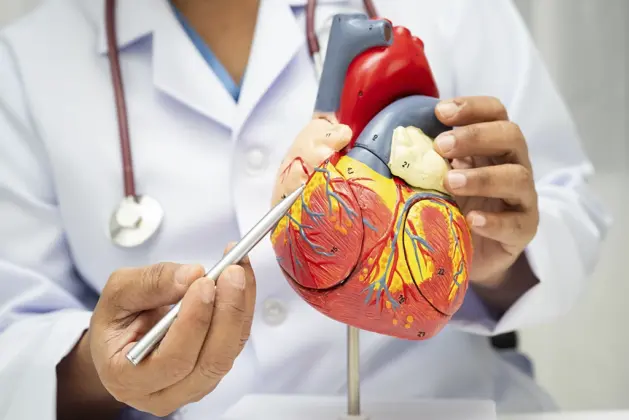 Corazón artificial en México: La revolución médica aprobada por Cofepris
