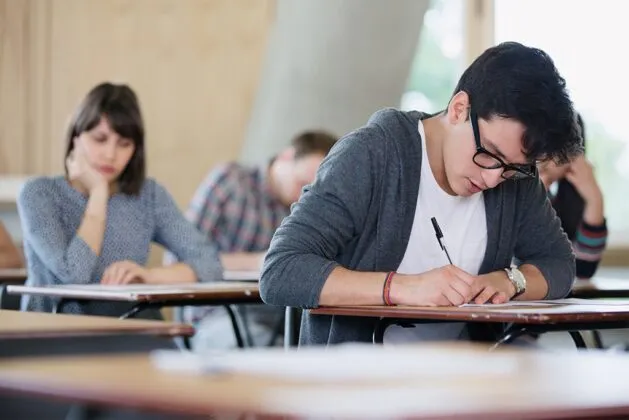 Domina los exámenes de ensayo: organiza tus ideas con éxito