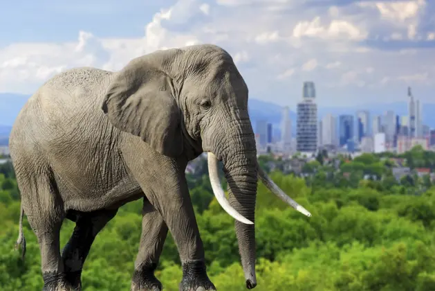 Qué es la Arquitectura Sostenible y por qué imitan la biología animal